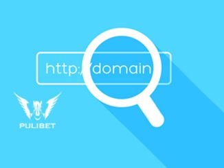 Pulibet689 Yeni Giriş Adresi